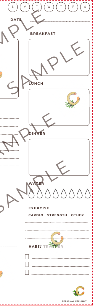 Intentional Daily Planner - Printable PDF